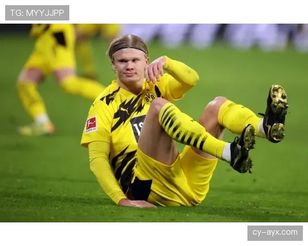 多特数据分析显示年轻球员崭露头角，球队新动态引发广泛关注